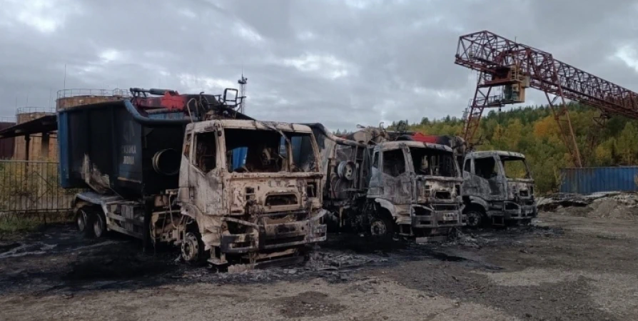 Следователи усмотрели в ночном пожаре в Мурмашах признаки поджога