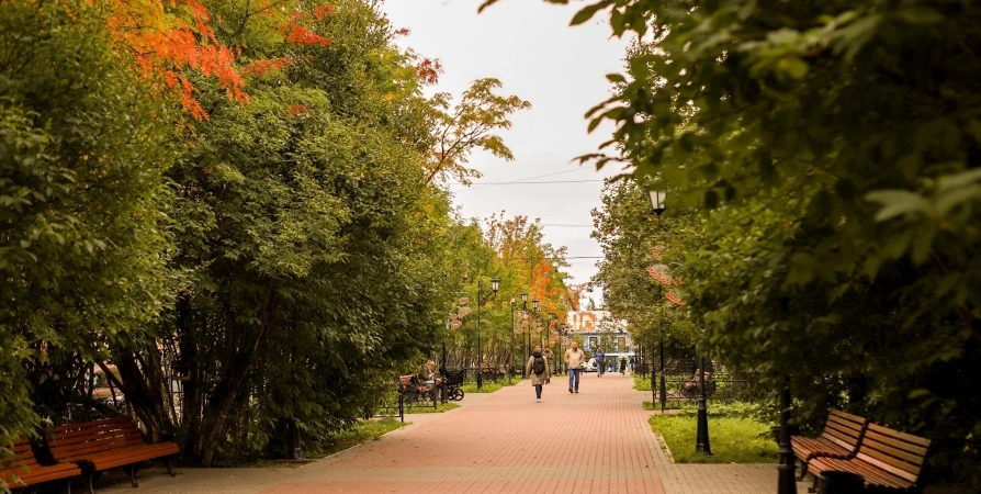 Днем воздух в Мурманской области прогреется до +15+20°