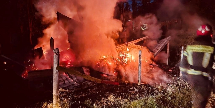 Огонь уничтожил баню в Кольском районе