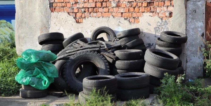 Жители Кандалакши обеспокоены крысами и покрышками возле мусорных контейнеров