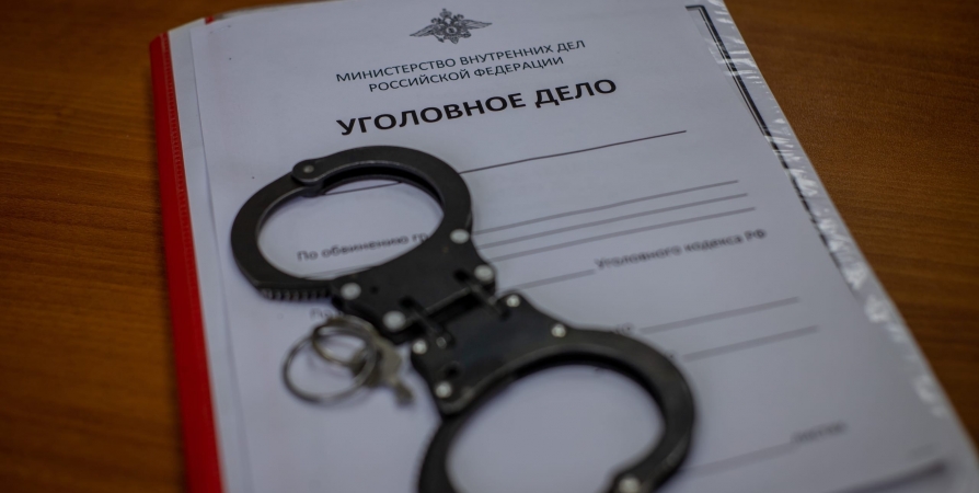 Оскорбившему Кольский суд мужчине без регистрации в РФ грозят исправительные работы
