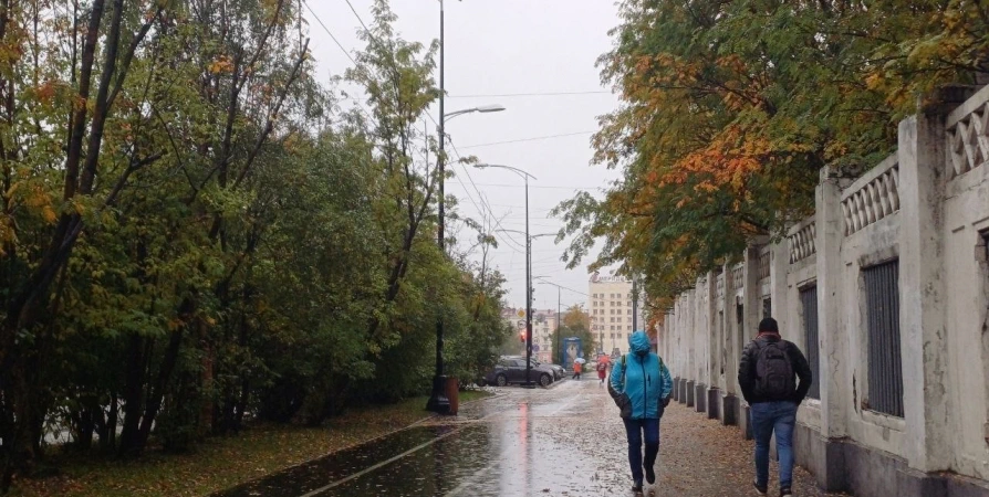 В Мурманской области ветрено и холодно