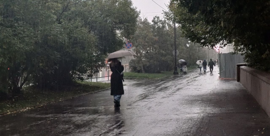 Ветреная и дождливая погода прогнозируется в Мурманской области