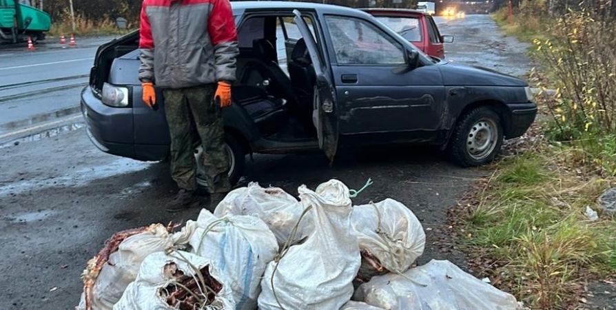 На дороге Североморск-Мурманск поймали перевозившего краба на 2,2 млн рублей