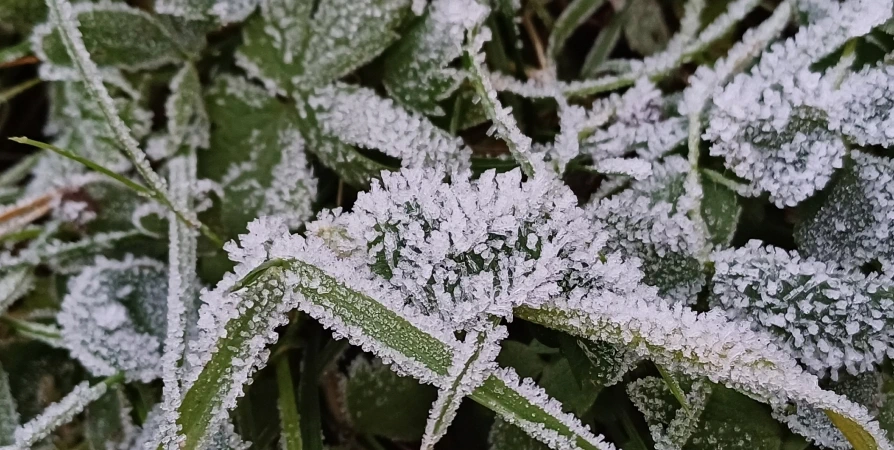 Ночью температура воздуха в Мурманской области опустится до -7°