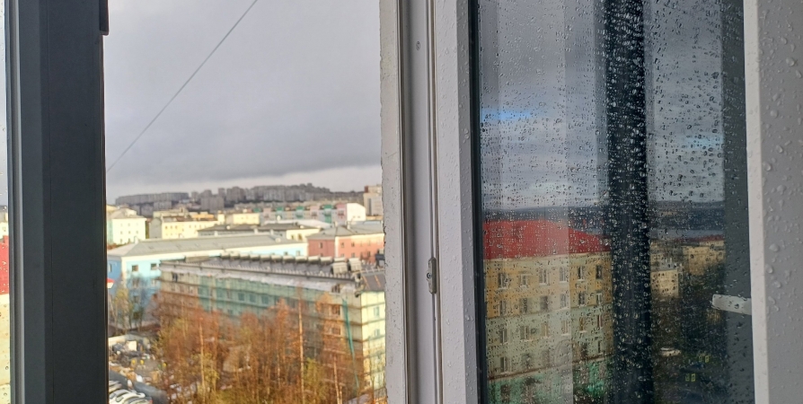 Синоптики обещают Мурманской области порывистый ветер и мокрый снег