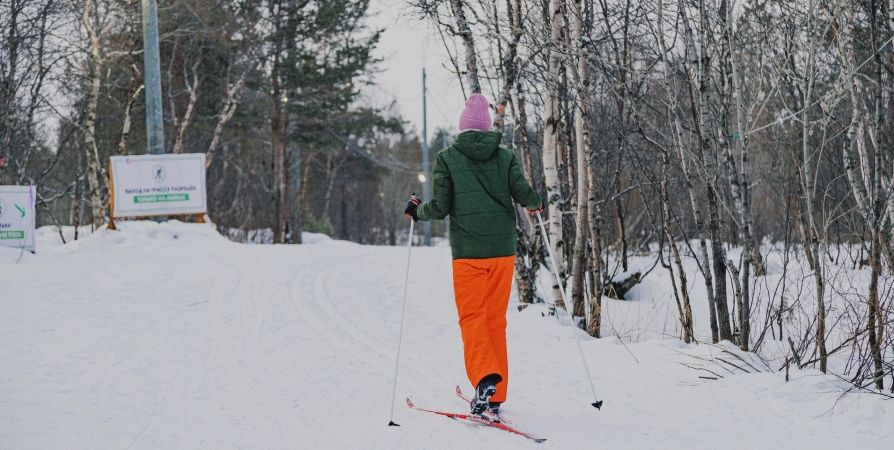 Андрей Чибис - министру спорта об освещенных лыжных трассах: «Бла-бла-бла не надо»