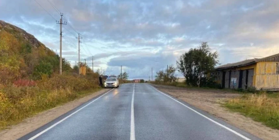 Сбитую в Териберке девочку выписали домой