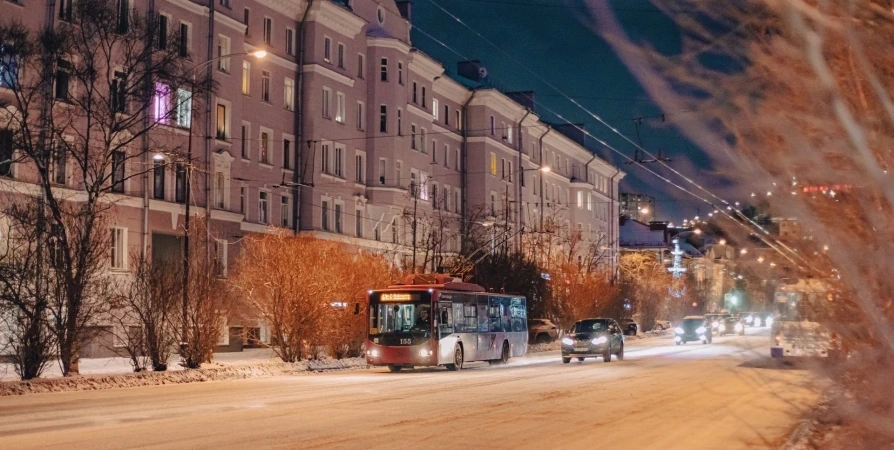 Северянам рассказали, как легче пережить полярную ночь