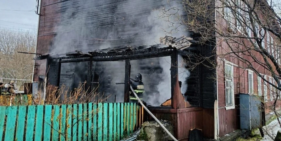 В Кандалакше при пожаре погибли две собаки