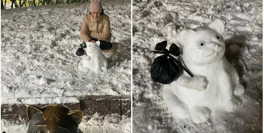 Мурманчанка слепила коту Семену снежного друга