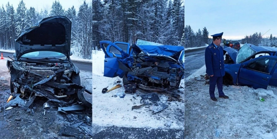 Уголовное дело возбудили после ДТП с двумя погибшими в Кольском районе