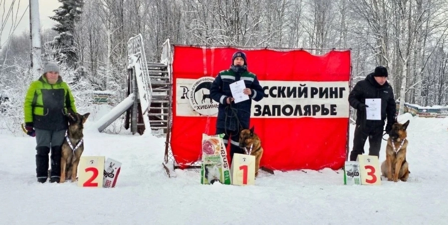 В Мурманской области кинологи показали навыки служебных собак на чемпионате