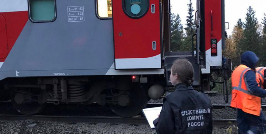 В суд направлено дело после схода вагонов поезда под Оленегорском с ущербом в 18 млн