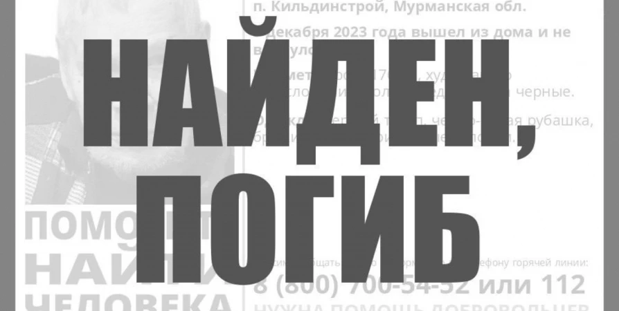 Тело 86-летнего пенсионера из Кильдинстроя нашли в лесу