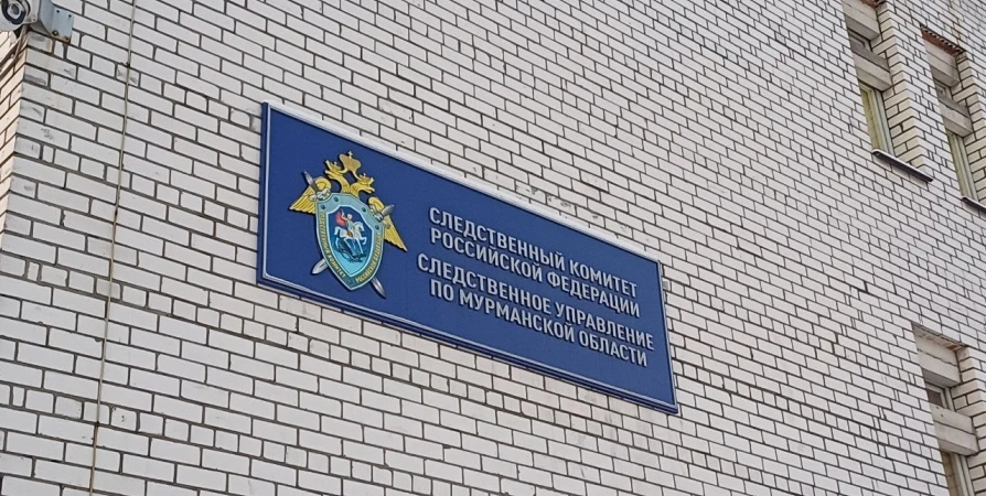 50 смертельных ударов: молодого мурманчанина осудили на 10,5 лет за убийство знакомого