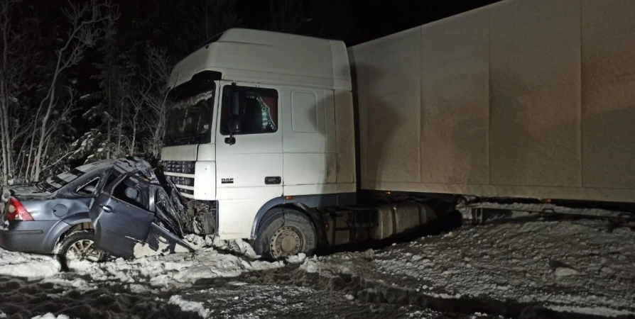 Два человека погибли в ДТП с большегрузом в Кольском районе