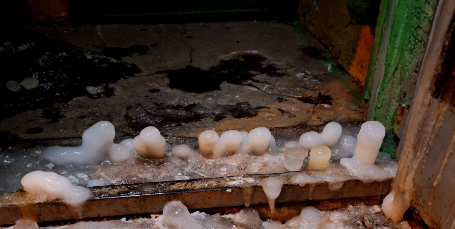 «Напал злодей Вонючка»: В праздники подвалы домов в Мурманске затопило канализацией