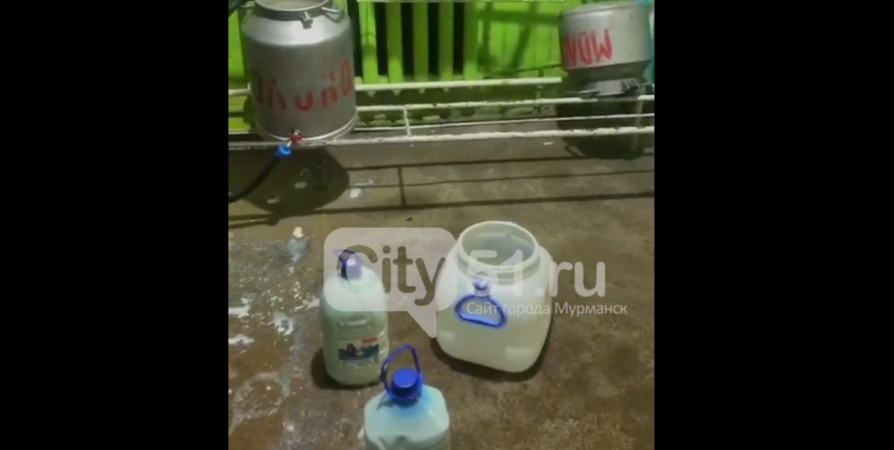 Ферма «Полярная Звезда» в Междуречье вынуждена раздавать молоко жителям, чтобы не выливать