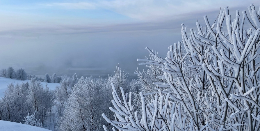 Гололедицу и до -27°С прогнозируют в Мурманской области