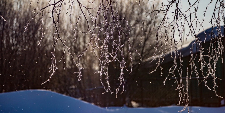 Холодная погода без осадков ожидается в Мурманской области