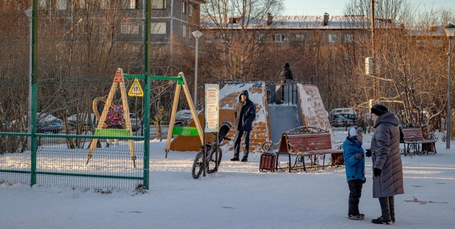 В Заполярье голосуют за площадку «Видяевцы на рейде» и «титановый» скейт-парк