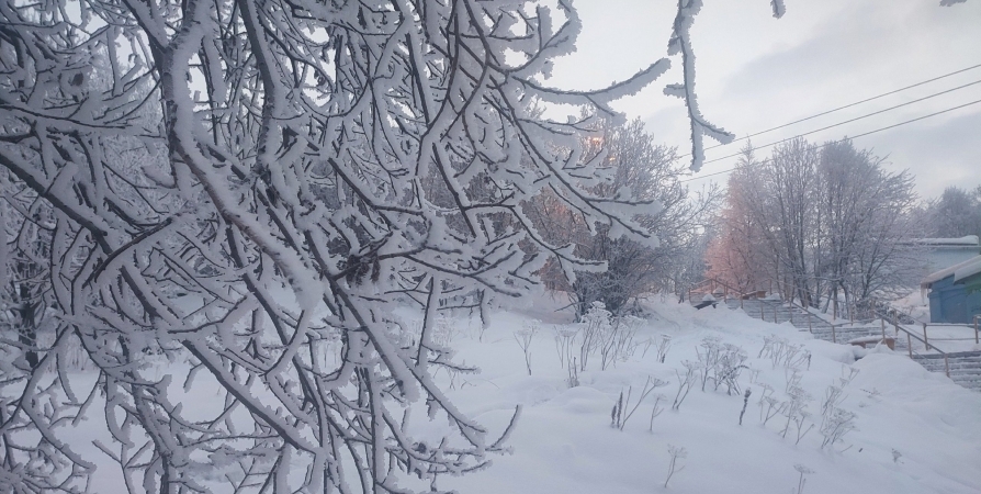 Местами снег и до -12°С сегодня в Мурманской области
