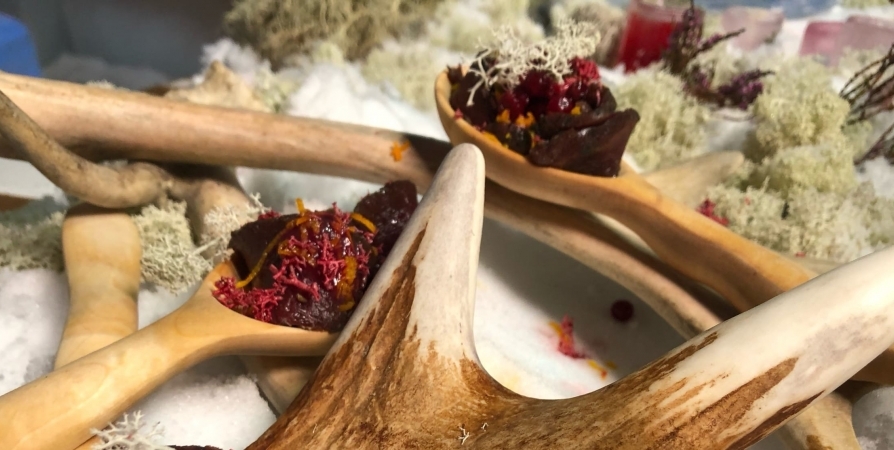 На Всемирном фестивале молодежи представят блюда арктической кухни от поваров Мурманской области