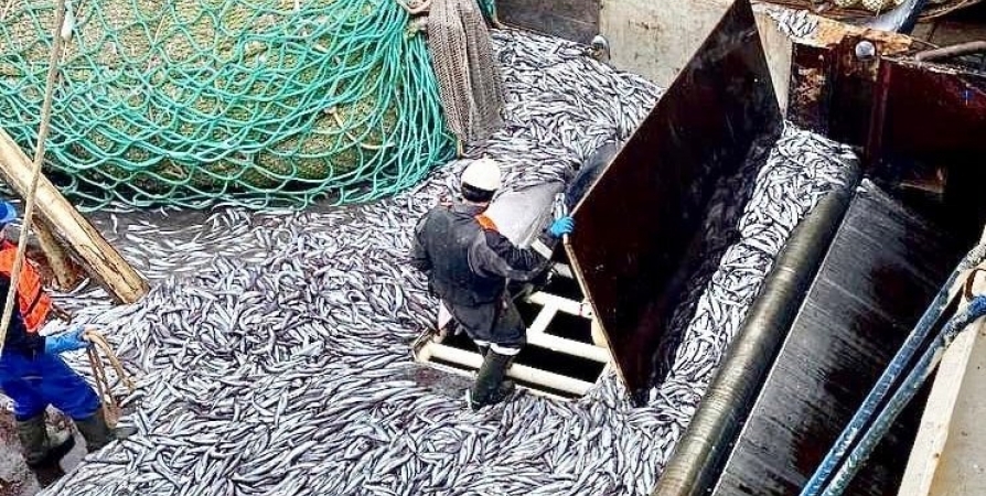 Соглашение денонсировано: Великобритании запретили лов рыбы вдоль побережья Кольского полуострова