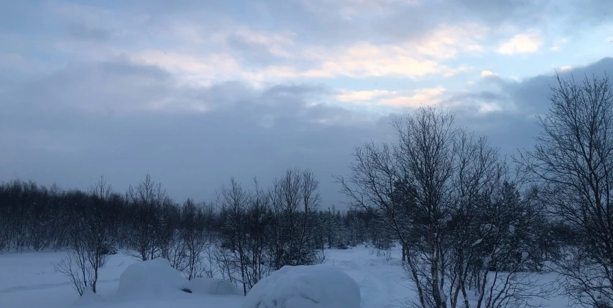 Сильная гололедица и до +1°С сегодня в Мурманской области