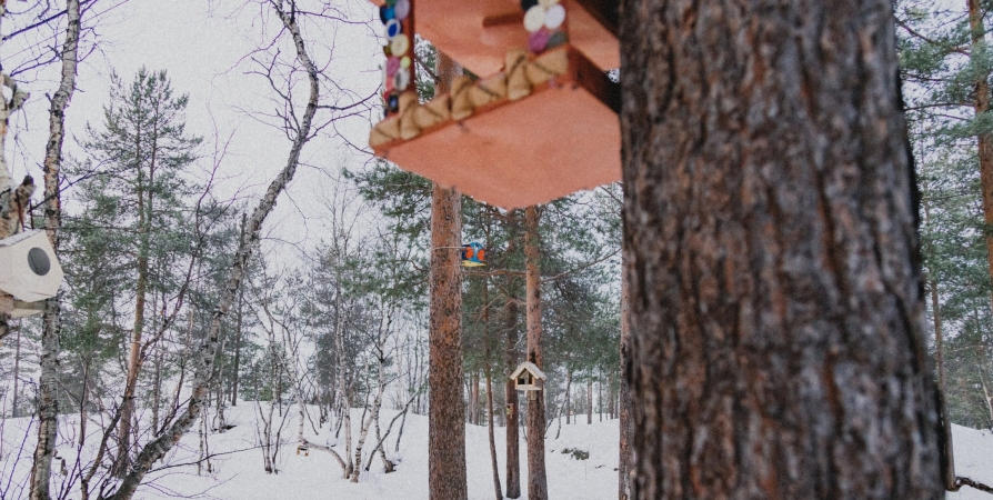 Небольшой снег и до -8°C ожидается в Мурманской области