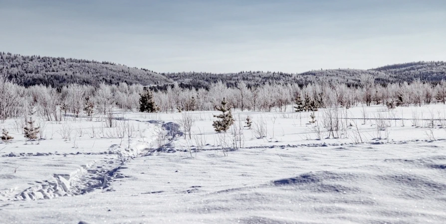 Ночью при прояснениях до -20°С, днем до -8°С ожидается в Заполярье в выходные