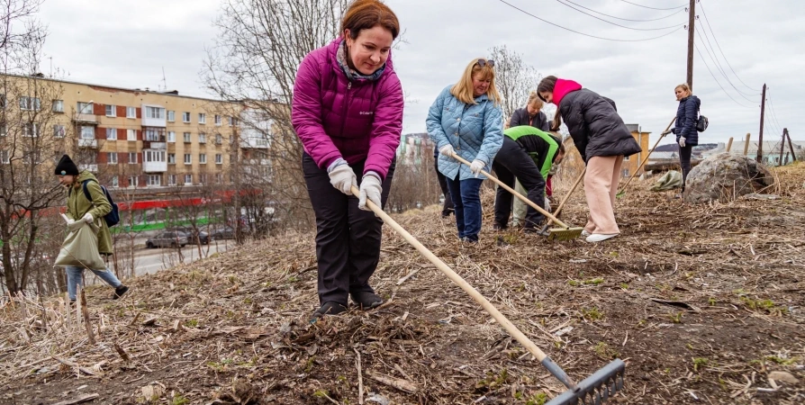 Общегородские субботники в Мурманске пройдут 27 апреля и 4 мая