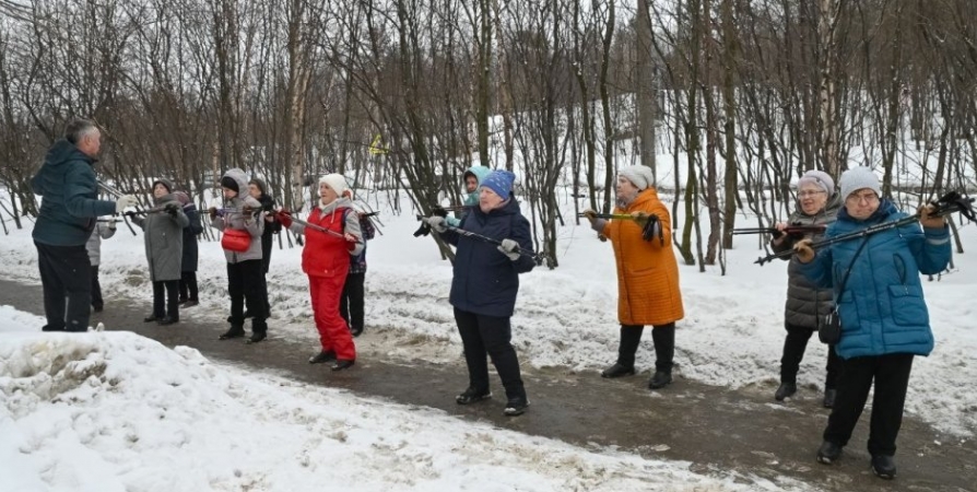 Для мурманчан старшего возраста проводят занятия скандинавской ходьбой и гимнастикой