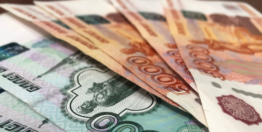 Официальные зарплаты в Мурманской области снизились на четверть от декабря к январю