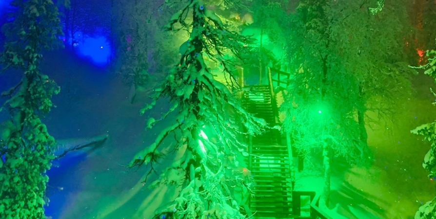 Зимний сезон «Таинственного леса» под Кировском завершится 14 апреля