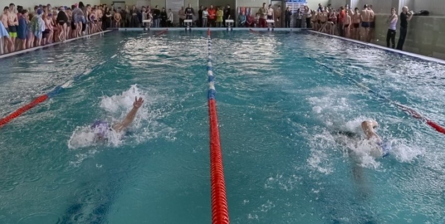 Фестиваль ГТО в Мурманске завершился сдачей нормативов по плаванию