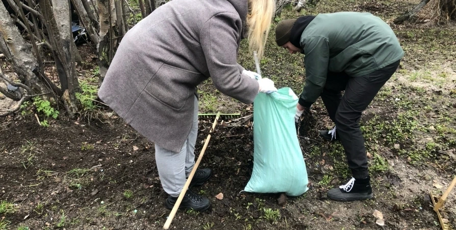 В Заполярье стартовала экологическая акция «Зеленая Весна»