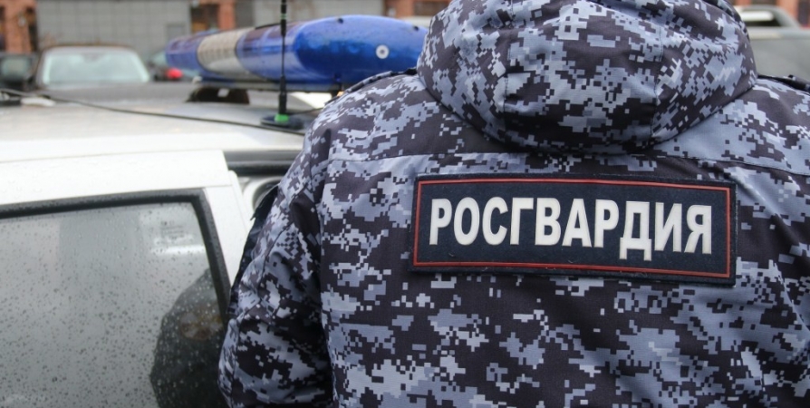 Мешавшую работе ресторана в Мурманске москвичку доставили в полицию