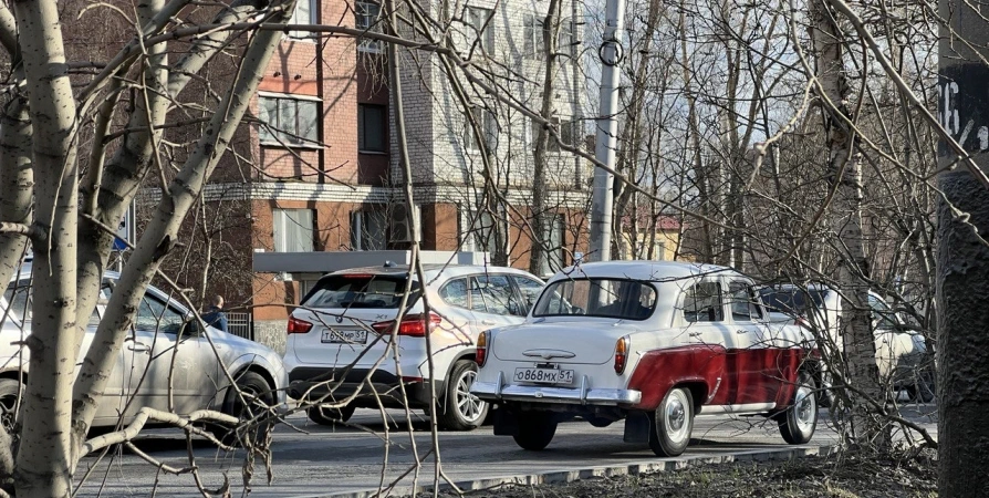 Всего двое сообщивших о пьяных водителей северян получили по 5 тыс. с февраля