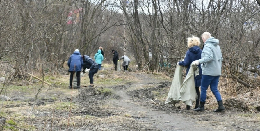 146 кубометров мусора собрали мурманчане во время субботника