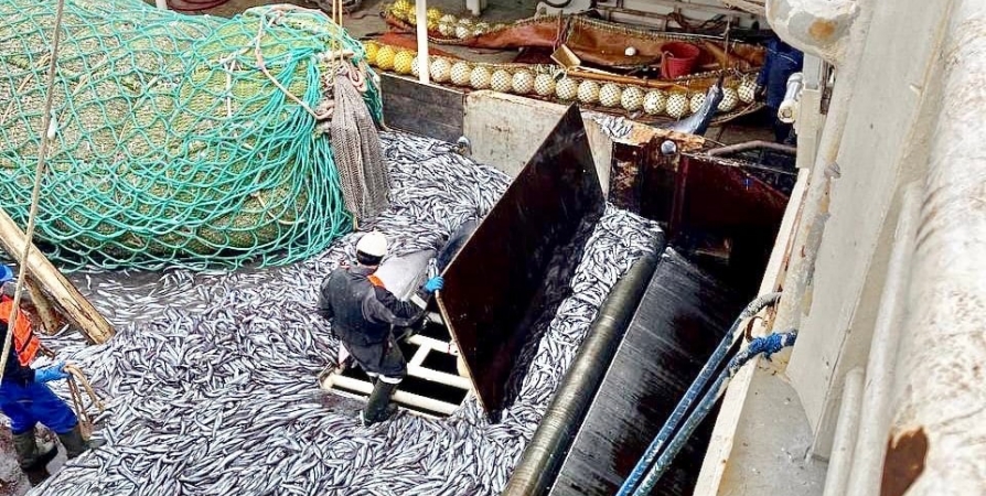 Мурманские рыбаки вынуждены выбрасывать икру и субпродукты. Помочь может Михаил Мишустин