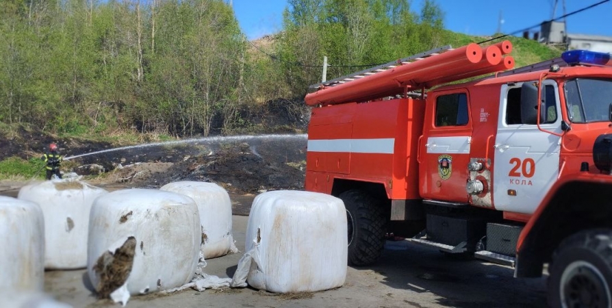 Пожар на территории фермы «Полярная звезда» в Междуречье ликвидировали 6 человек