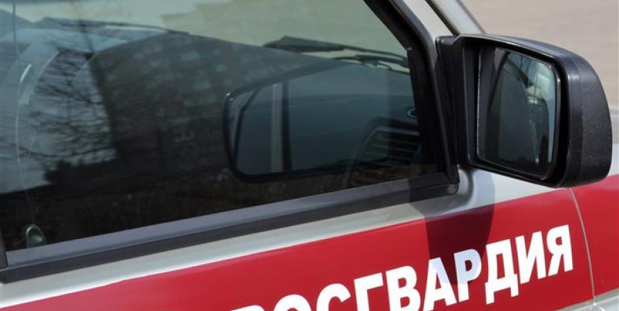 Жительницу Нижегородской области задержали в Мурманске за дебош