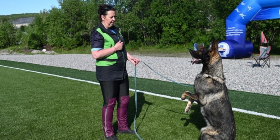 Гость из Сербии будет оценивать навыки служебных собак на чемпионате в Мурманске
