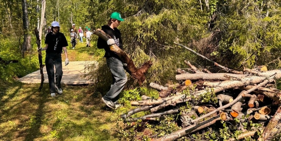 Волонтеры помогли расчистить экотропу Ботанического сада в Кировске