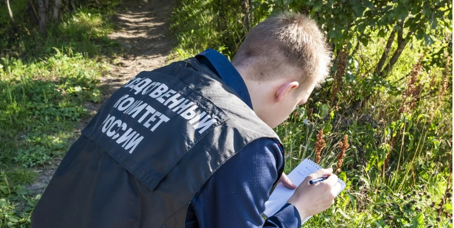 Молодой гость из Красноярского края получил 5 лет за убийство у ресторана в Ковдоре