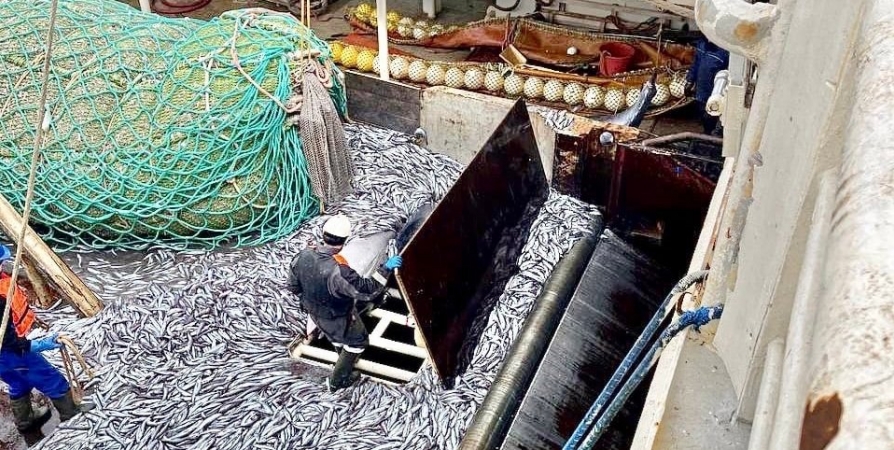 Российских рыбаков в Норвегии ждут новые ограничения