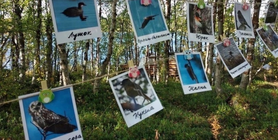 Бердвотчинг и тематические лекции — в «Пасвике» пройдет орнитологический фестиваль