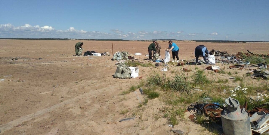 200 мешков мусора — возле Кузомени убрали стихийную свалку